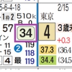 ハイブリッド競馬新聞
