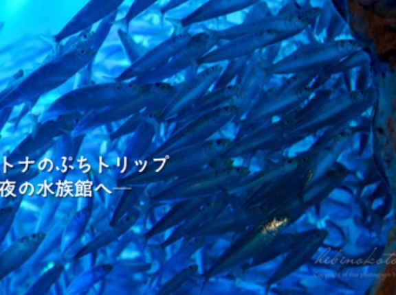 オトナのぷちトリップ ─夜の水族館へ─
