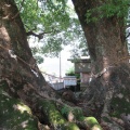 尾鷲神社