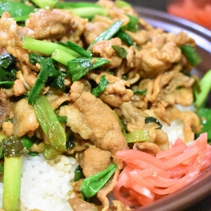 ご飯がすすむ♪ねぎたっぷり豚丼