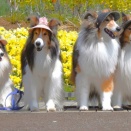 群馬フラワーパーク②