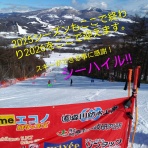 夢を追い続ける！ポンコツレーサー！