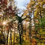 【 オオフミ少年日記　ＴＷセローエンジンチューニング＆オーバーホールの日々 】