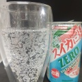 サンガリアの数量限定！ゼロサワー スイカに塩ZERO