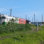 市原市に憲法と地方自治を活かす会