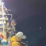 山スキーと雑記帳