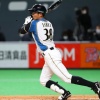 【悲報】日ハム石井一成の通算成績、割とやばい