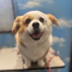 ペットショップワンラブ ドンキホーテ西宮店のスタッフブログ