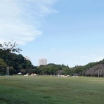 ラッキーの日記と、パパのカメブラ散歩