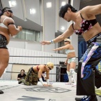 HARASHIMAの｢へろへろ日記｣