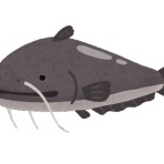 釣りまとめ速報