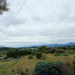 しっぽのトライアルあそび弐