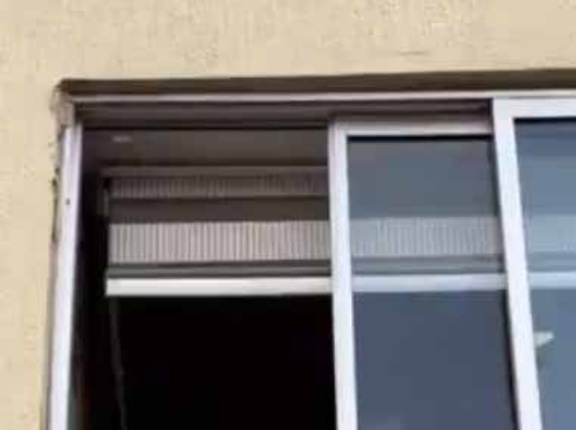 ２階の窓が開いていた。外に何かいるのかな？ → かわいい姿はこちらです…