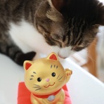 ミミオレ。