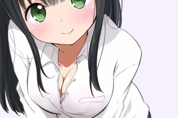 2次エロ画像 zipup 胸チラ ブラチラ