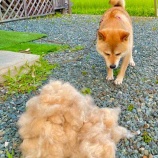 『暑いわ〜』の画像