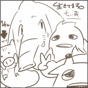 報告