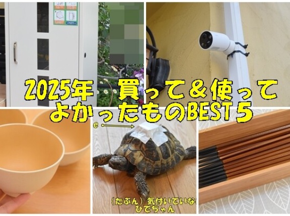 【2025年最後の楽天スーパーSALE】今年買って&使ってよかったものBEST５♬(PR含）