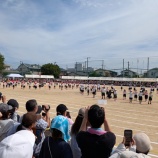 『あちこち』の画像