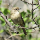 ラストダンス・・。