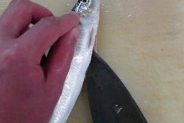 簡単 魚の美味しいさばき方 いわし