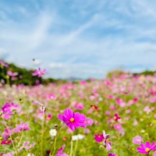 Jamのおうち　＊ごはんと器とインテリア＊