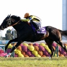 【競馬予想】[1]香港チャンピオンズデー2026