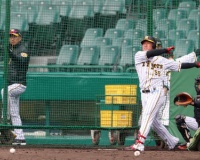 【阪神】陽川あるぞ４番！清水ヘッド「打撃生かしたい」