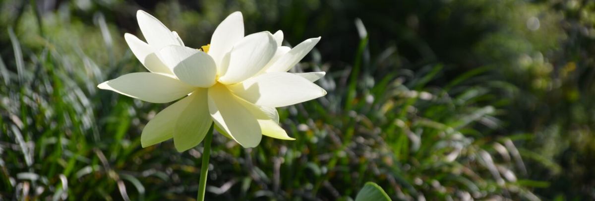 あなたの家をより美しくする11の絵画シリーズ