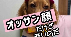 コロちゃん、まだ３歳なのか〜。