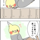 拒否するニュー