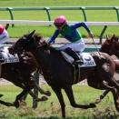 野分のまたの日の中山競馬場