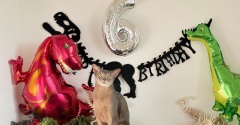 わか坊、6歳のお誕生日会