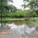 W台風の上座総合公園