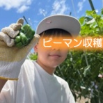 不登校365日24時間　フリースクール元気学園 ブログ