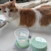 セリアの折りたたみコップと昭和の「水を飲むな」という話