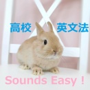 和家裕樹の高校英文法（全範囲）夏期講習