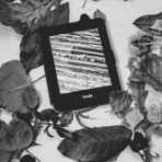 マインドマップ的読書感想文