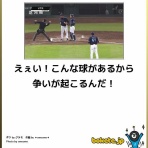 哲学ニュースnwk
