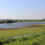『江戸川の水位上昇により冠水範囲が拡大』の画像