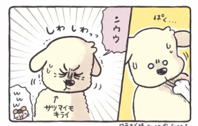 旦那君の秋の好き嫌い 【ASOPPA！連載】