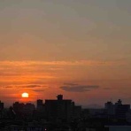 コルチカム's　ＬＩＦＥ日記