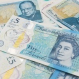 『英国の新札紙幣に使われている牛脂』の画像