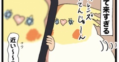 飼い主のスマホと愛鳥さん 番外編‼️