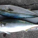 12月5日金澤さん