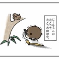 【ゆる日記 vol.21】カメラはじめました📷