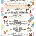 スペイン：アルメリアでの煎茶道ご紹介ご報告(室岡久美子)
