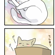 後ろ足伸びがちボーイ