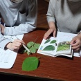 ☆★体験活動の土台に科学的な知識を！〜「もりもりの森」で葉っぱ勉強会