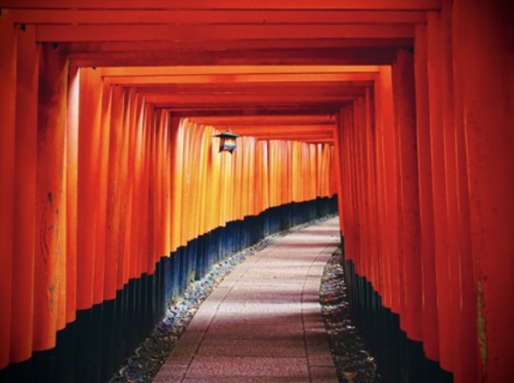 【画像】伏見稲荷大社こんな時間にきてるんやがめちゃこわい